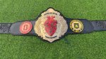 Custom cardiology Champions belt