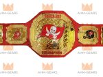 Tampa Bay Buccaneers Nfl Champion belt - Image 5