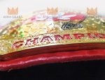 Tampa Bay Buccaneers Nfl Champion belt - Image 7
