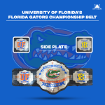 University of Florida's Florida Gators - Image 2