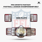 PRO SPORTS Fantasy - Image 2
