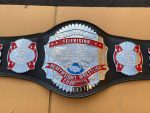 USWO Television Wrestling Champion Belt - Image 6