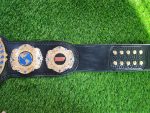 Customise BWF HeavyWeight Champions belt - Image 5