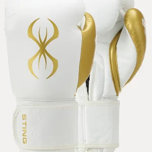Evolution Boxing Gloves